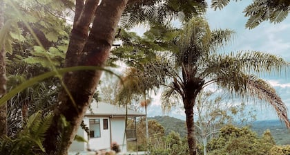 Peaceful Hilltop Cabin with Outdoor Bathtub and Wildlife Views Near Springbrook, Mudgeeraba, Queensland