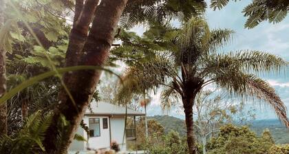 Peaceful Hilltop Cabin with Outdoor Bathtub and Wildlife Views Near Springbrook, Mudgeeraba, Queensland