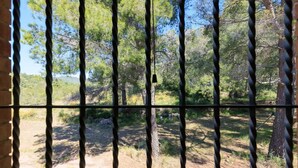 A view through a barred window with a natural landscape outside. - Masia Garriga in Tarragona (Alcover)