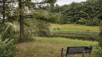 Un banc situé dans un espace verdoyant, avec un étang et des arbres en arrière-plan.