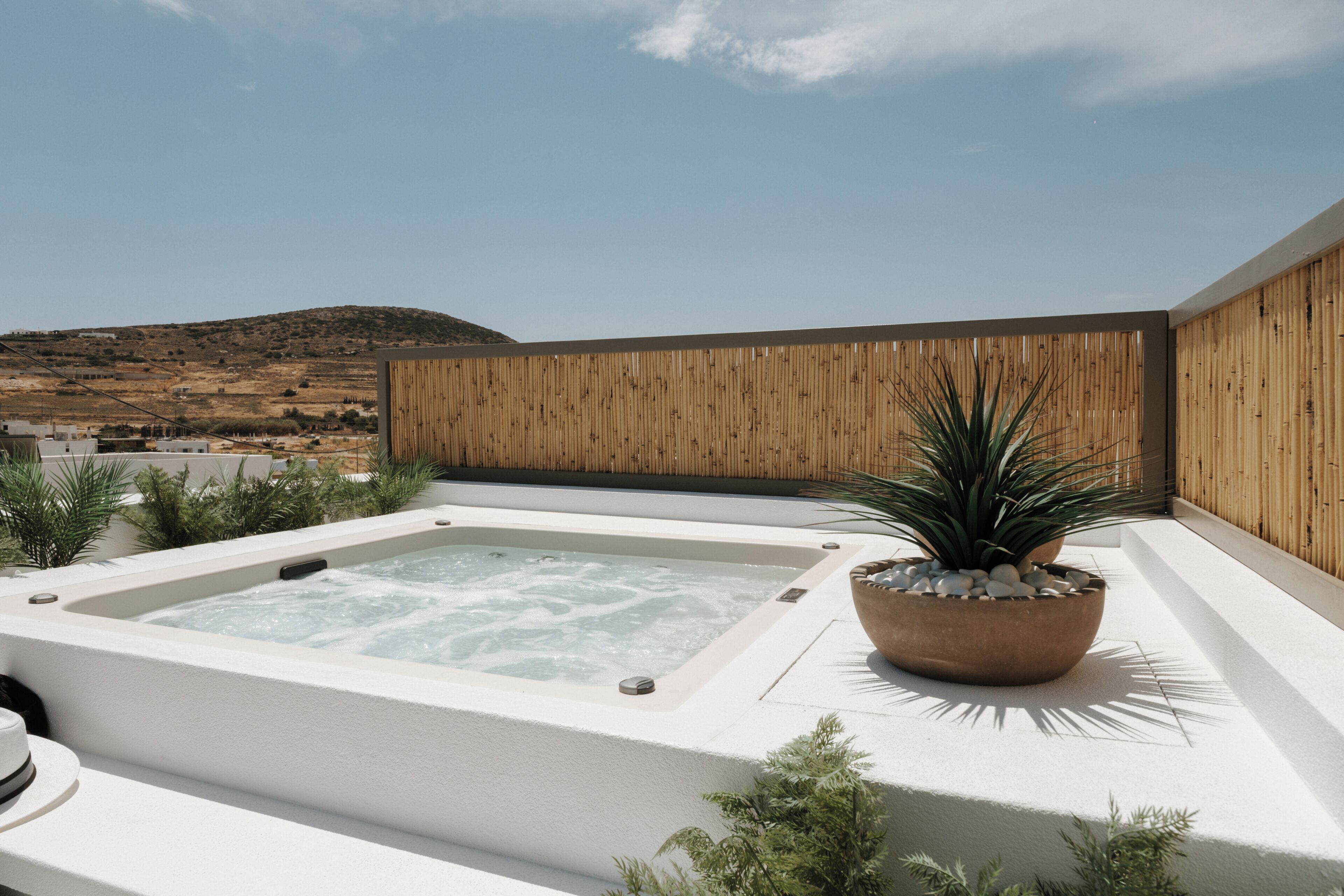 A rooftop with a hot tub and a potted plant.
