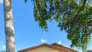 Una casa a un piano con un portico, un piccolo giardino e un albero in primo piano.