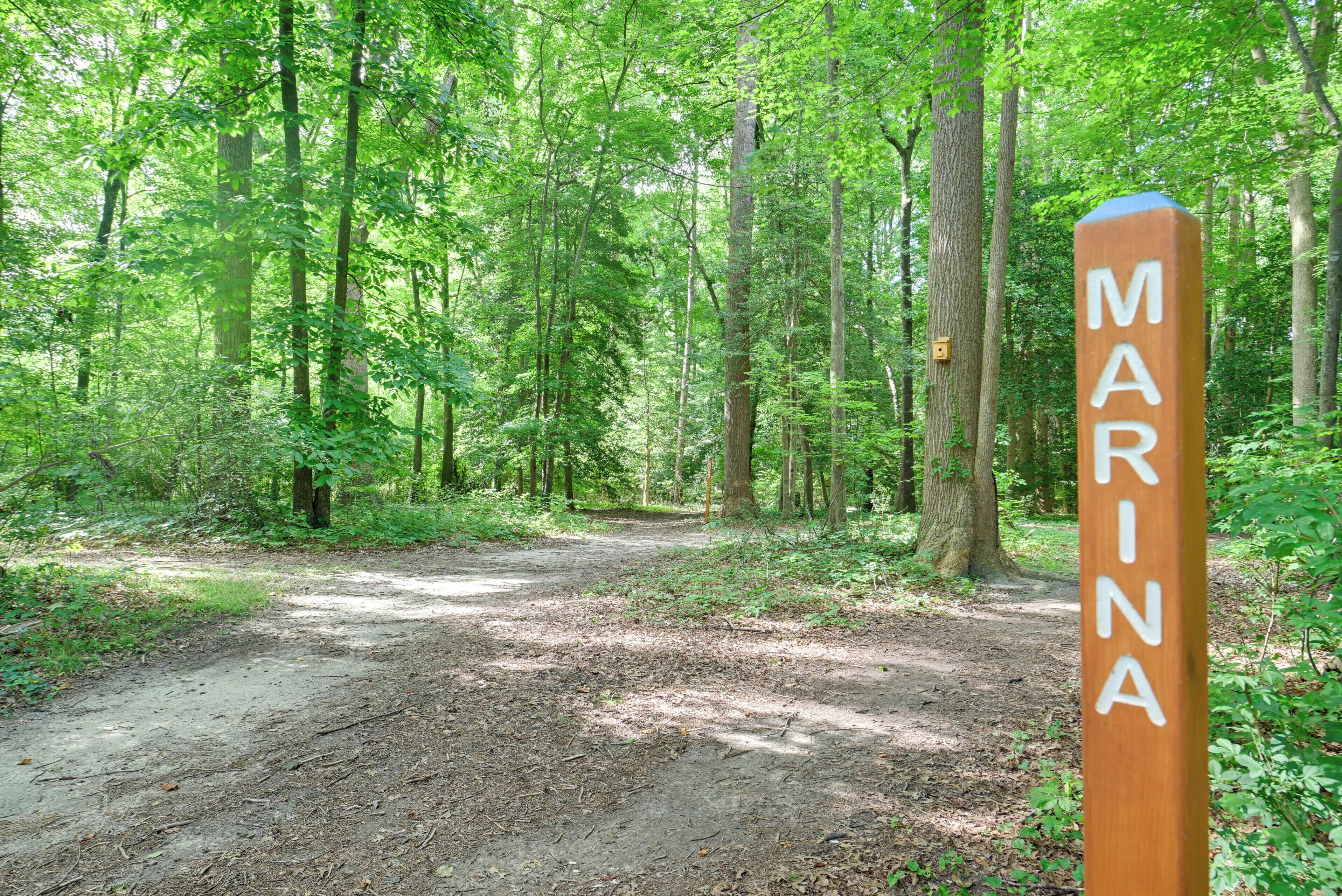 A forested area with a dirt path and a wooden sign that reads 'MARINA.'