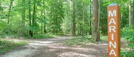 A forested area with a dirt path and a wooden sign that reads 'MARINA.'