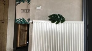 Une pièce avec un plancher en bois, un radiateur blanc et une plante posée sur le radiateur.