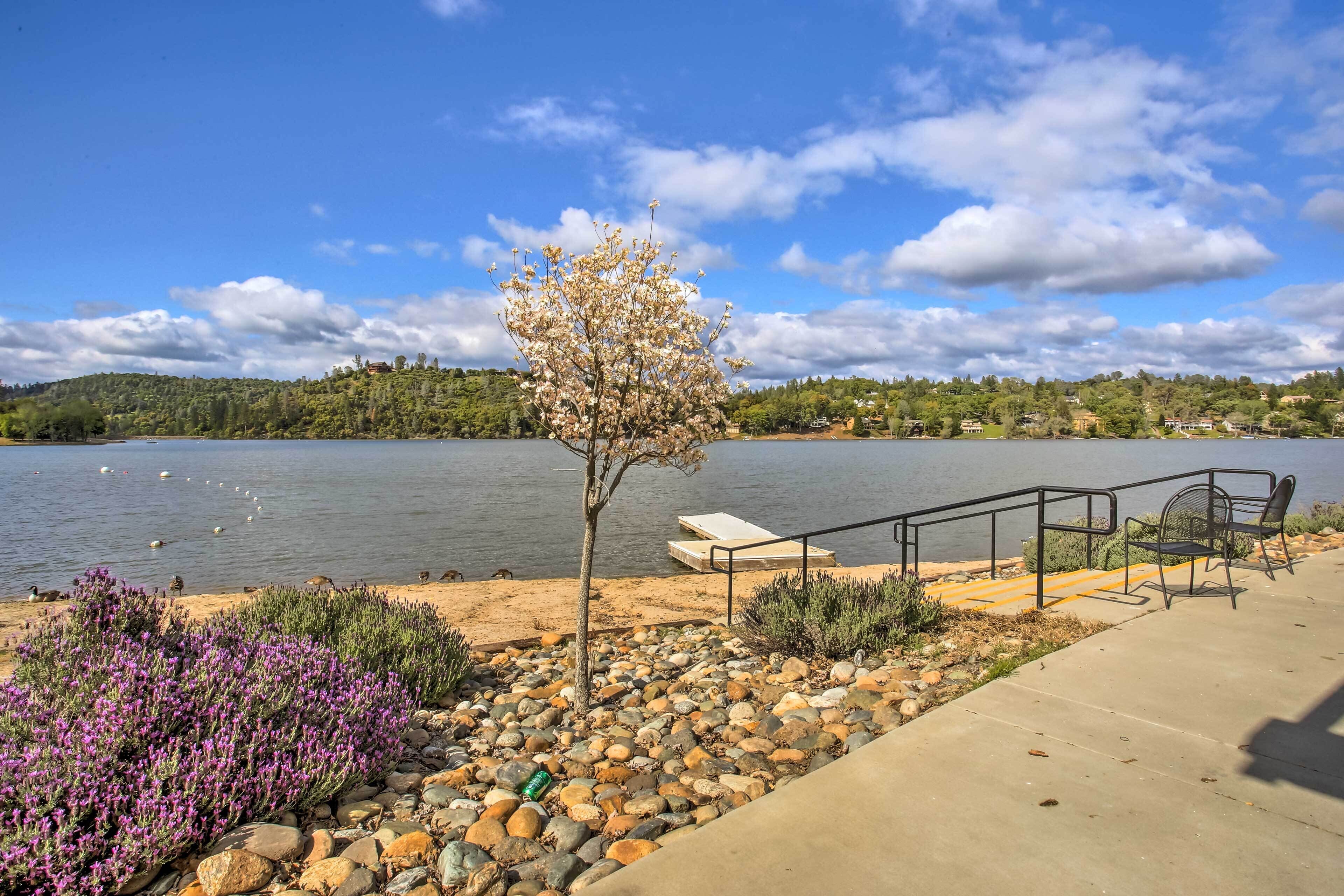 A lakeside walkway with a bench, a railing, and a tree.