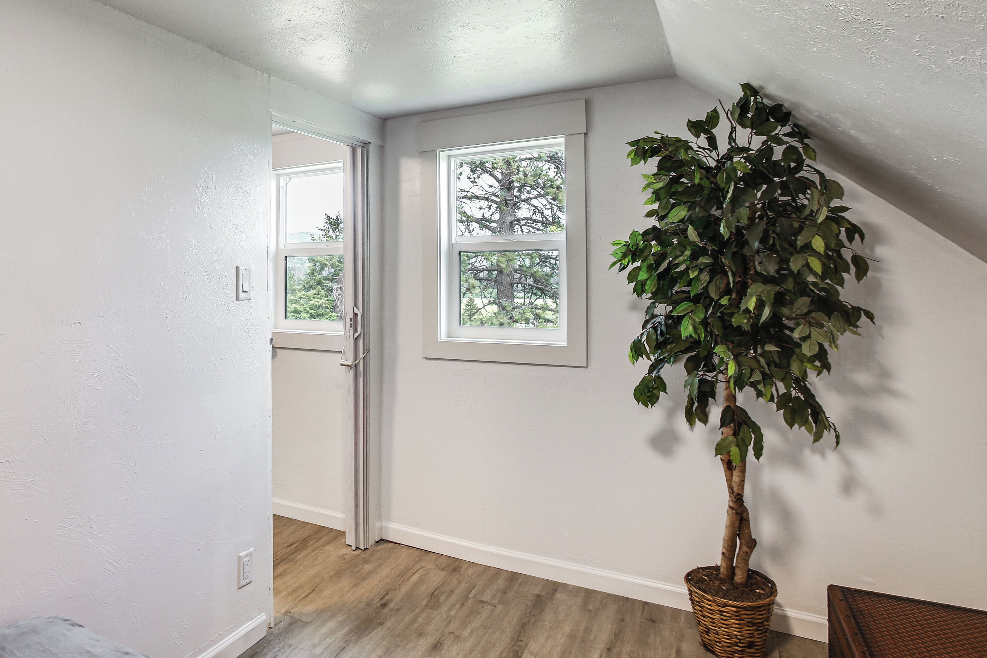 Una habitación con una planta grande en maceta, una puerta que da a otra estancia y una ventana con vistas a árboles.