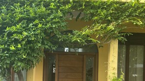 A building with a wooden door, a small entrance, and a tree in front. - Accogliente appartamento immerso nel parco del Ticino (Castelnovate)