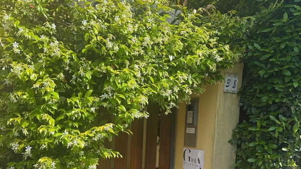 A building entrance with a wooden gate, a sign with the number '38', and a small signboard with text. - Accogliente appartamento immerso nel parco del Ticino (Castelnovate)