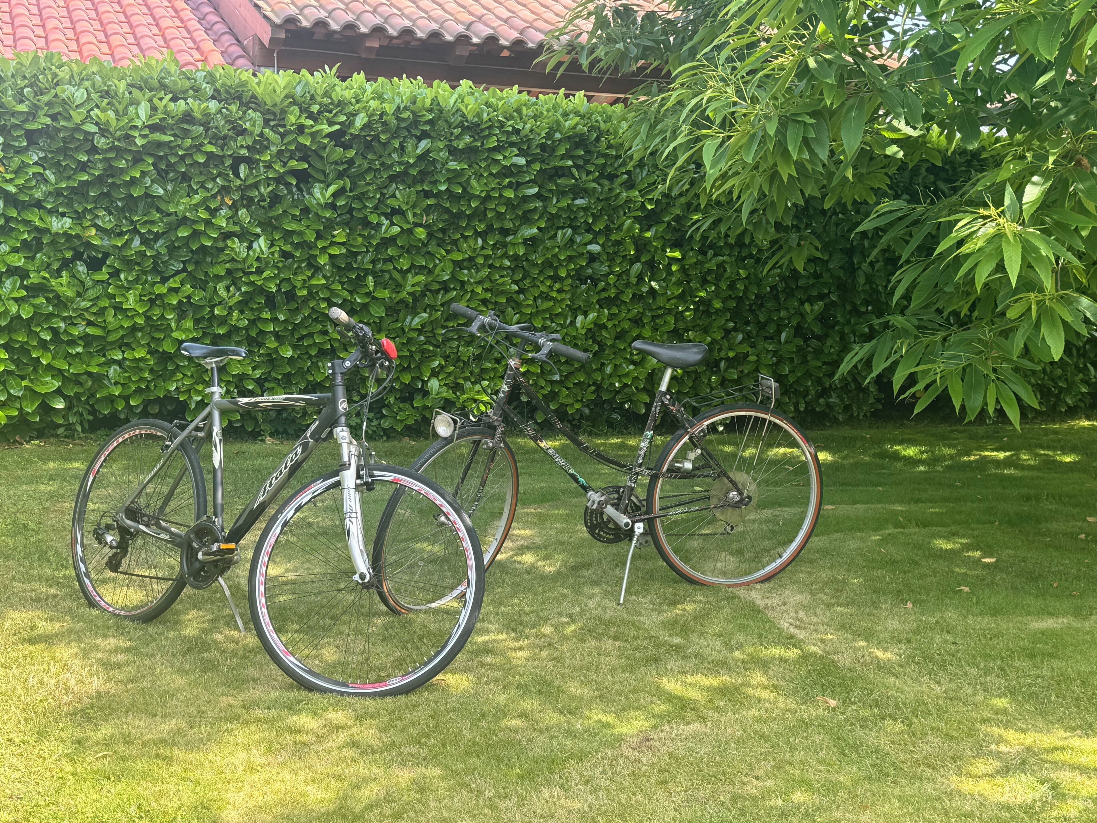 Deux vélos sont garés sur une pelouse verdoyante, avec une haie et un bâtiment en arrière-plan.
