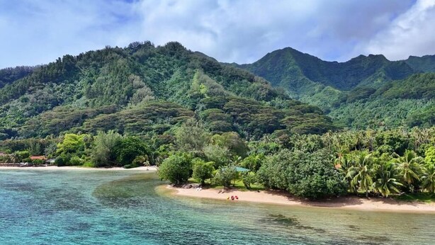 Una spiaggia tropicale con acque cristalline turchesi, colline verdeggianti e una riva sabbiosa.