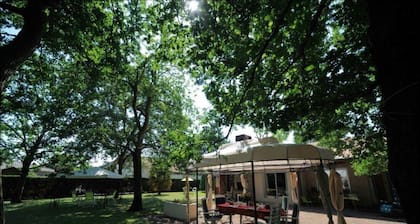 Guest Room “Les Genêts” with Shared Terrace, Wi-Fi, and Air Conditioning