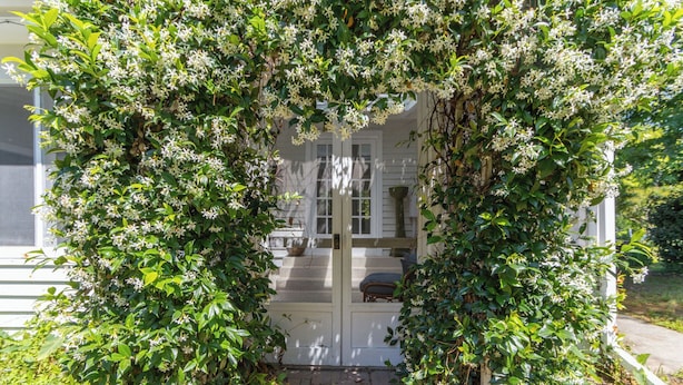 Ein weißes Haus mit überdachter Veranda, umgeben von üppiger Vegetation und weißen Blüten.