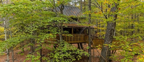 Une cabane dans une forêt, avec un toit en métal et une terrasse en bois.