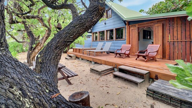 Eine Holzterrasse mit Liegestühlen, ein Gebäude mit Gründach und ein großer Baum.