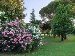 A park with a variety of trees and flowering shrubs. - CASA CATULLO, Paradise Children Apartment in Resort (Lombardia)