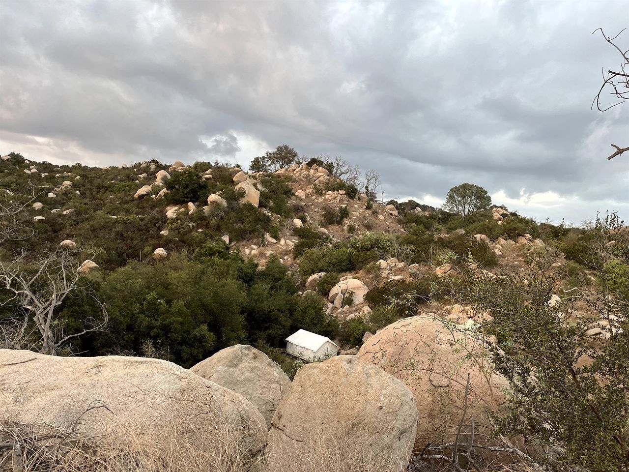 Miscellaneous