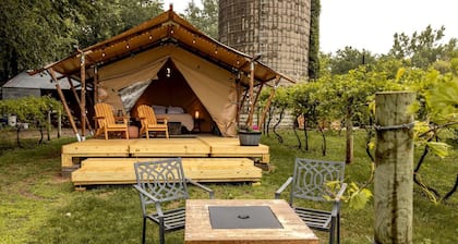 Rustic Vineyard Glamping Tent with Wine Tastings near Lakes and Trails in Currie, Minnesota
