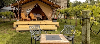 Rustic Vineyard Glamping Tent with Wine Tastings near Lakes and Trails in Currie, Minnesota