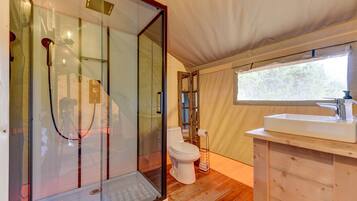A compact bathroom with a glass shower enclosure, a toilet, and a sink with a wooden cabinet.