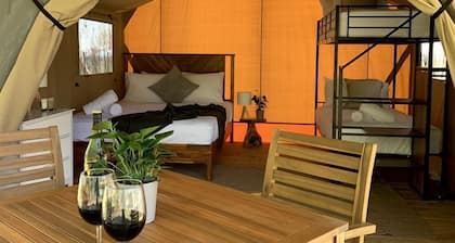 Scenic Glamping Home with Lakeside Marina Access Near Lake Livingston in Point Blank, Texas