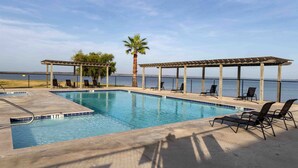 A pool with lounge chairs, a palm tree, and a view of the water.