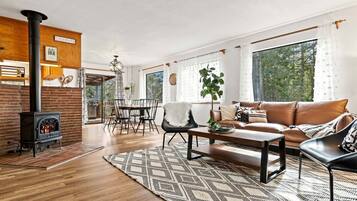 TV, fireplace, DVD player