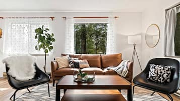 TV, fireplace, DVD player