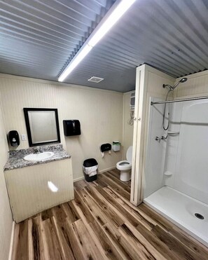A bathroom with a wooden floor, a sink, a toilet, a shower, and a mirror.