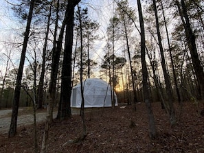 Exterior - Artistic Dome Haven Nestled in the Woods near Lake Oconee, Georgia (Eatonton)