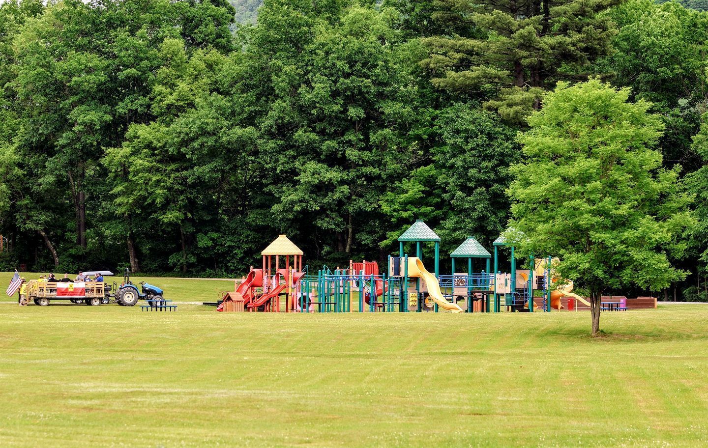 Children's area