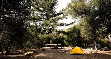 Secluded Mountain Wall Tent with Scenic Valley Views near Palomar Mountain, CA