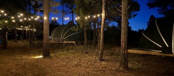 Cozy Family Glamping Escape with Heritage Orchard near Mountainair in Torreon, New Mexico