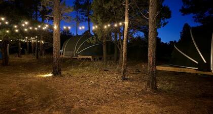 Cozy Family Glamping Escape with Heritage Orchard near Mountainair in Torreon, New Mexico