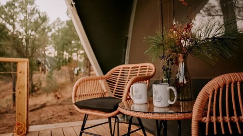 Cozy Family Glamping Escape with Heritage Orchard near Mountainair in Torreon, New Mexico