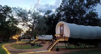 Luxury Highland Cow Glamping in Cozy Covered Wagon with Peaceful Farm Retreat in Melrose, Florida