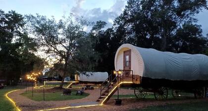 Luxury Highland Cow Glamping in Cozy Covered Wagon with Peaceful Farm Retreat in Melrose, Florida