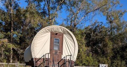 Luxury Highland Cow Glamping in Cozy Covered Wagon with Peaceful Farm Retreat in Melrose, Florida