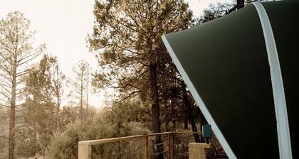 Scenic Glamping Tent with Orchard & Farm Animals near Mountainair in Torreon, New Mexico
