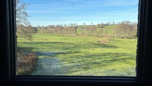 Blick durch ein Fenster auf ein grasbewachsenes Feld mit Bäumen und einem klaren Himmel.