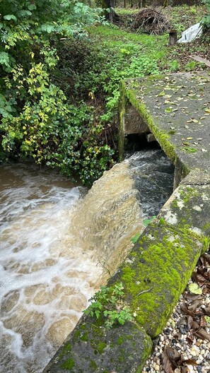 Eine Stebrücke über einem plätschernden Bach, umgeben von dichtem Grün.
