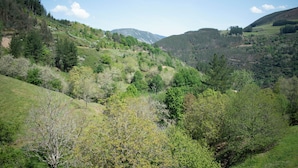 Eine gebirgige Landschaft mit dichten Wäldern und blauem Himmel.