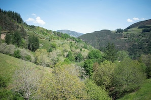 Eine gebirgige Landschaft mit dichten Wäldern und blauem Himmel.