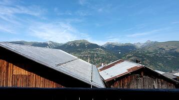 A mountain view with a wooden building and a metal roof.