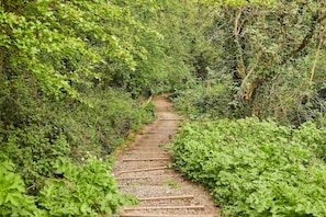 A narrow, gravel path surrounded by dense greenery. - Host Stay Tree Tops (Darlington)