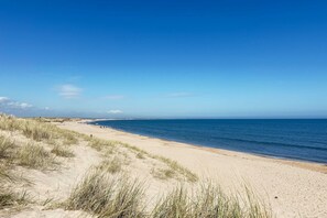 Una playa arenosa con dunas y un cielo azul despejado.