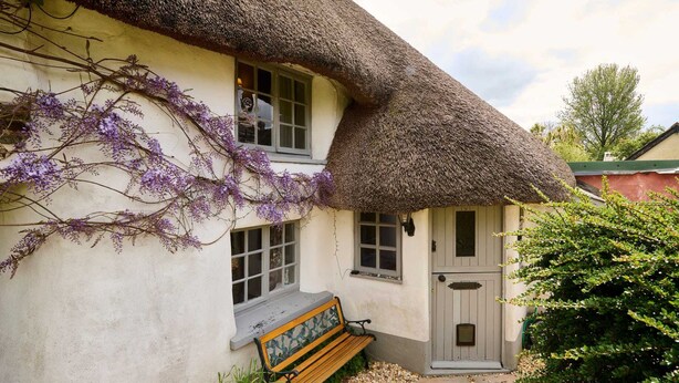A traditional thatched-roof house with a bench outside, a door, and windows. - Host Stay Wistermead Cottage (Winkleigh)