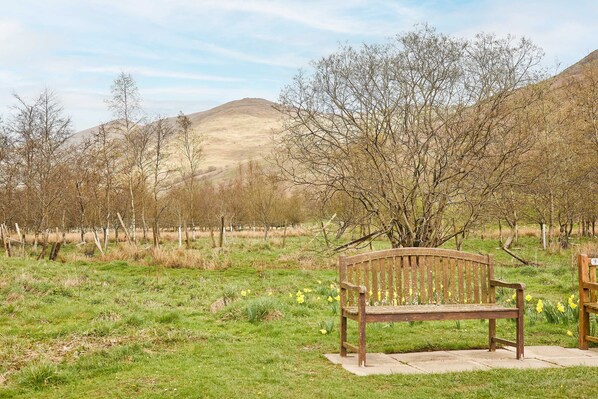 A bench in a grassy field with a hill in the background. - Host Stay Pine View (Windermere)