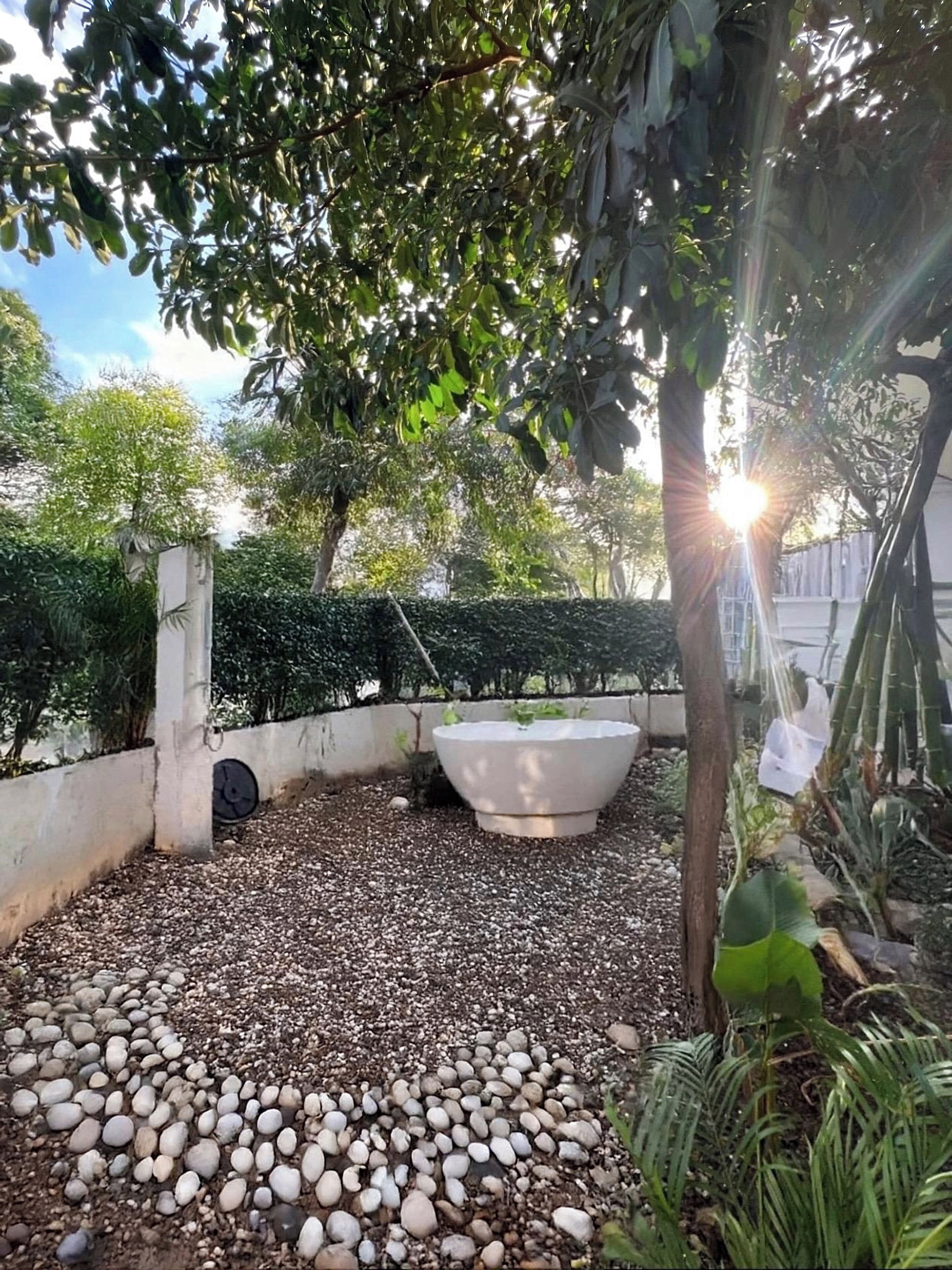 A garden with a concrete planter, gravel ground, and various plants.
