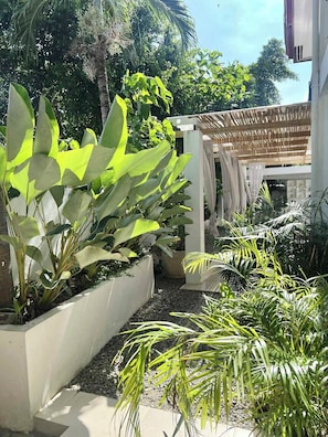 Un jardin agrémenté de plantes à grandes feuilles, d’une pergola et d’une structure blanche.